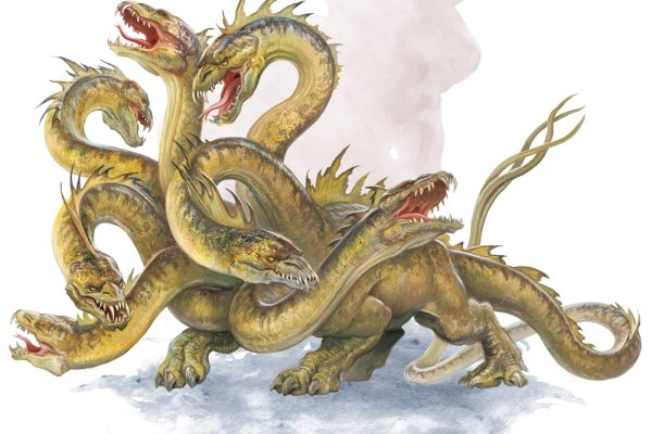 Kraken 20at