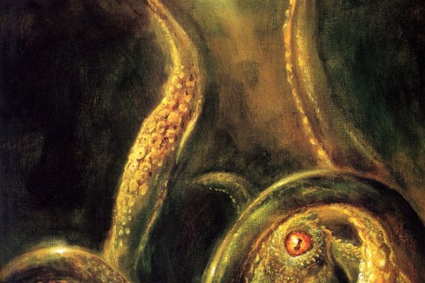 Kraken tor marketplace
