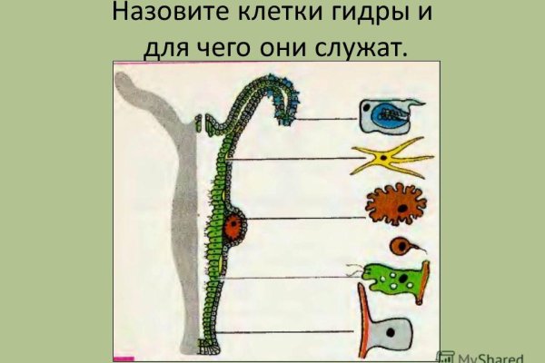 Кракен тор krakendark krakendark link